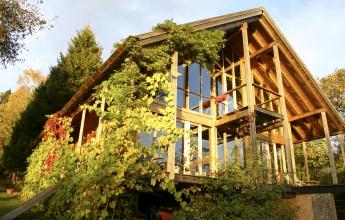 Wohnhaus in der Waldlichtung